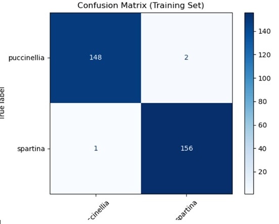 Original confusion matrix labelled Training Set. Puccinellia: 148 correct, 2 predicted as Spartina. Spartina: 156 correct, 1 predicted as Puccinellia.